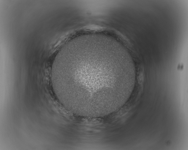 X0000110691397200907021923