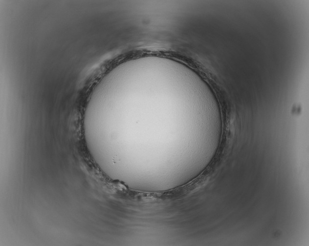 X0000110691398200907021923