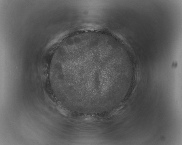 X0000110691399200907021923