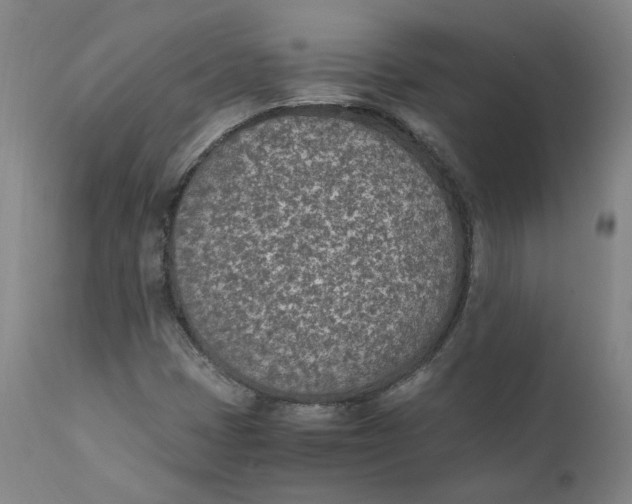 X0000110691401200907021923