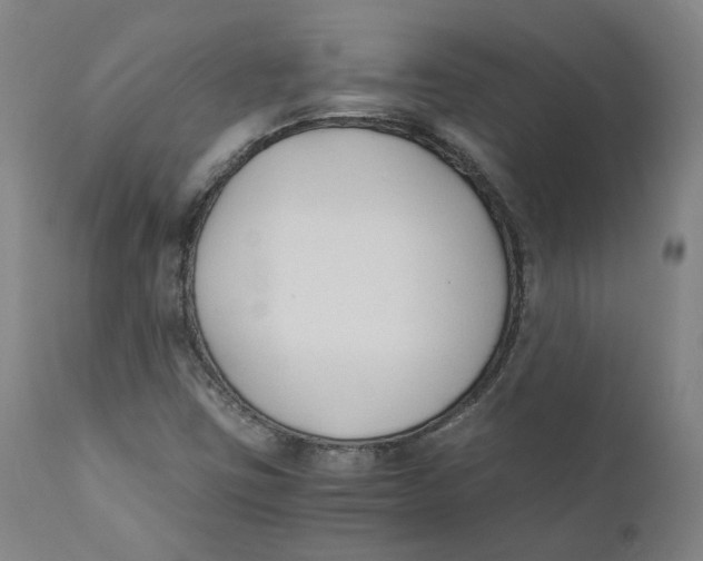 X0000110691403200907021923