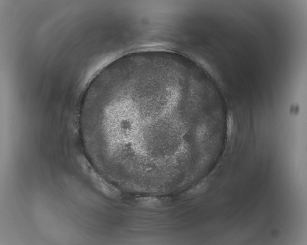 X0000110691405200907021923