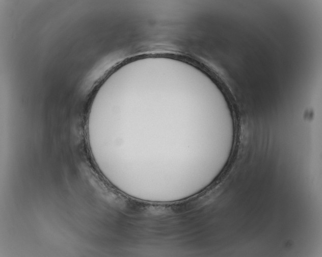 X0000110691407200907021923