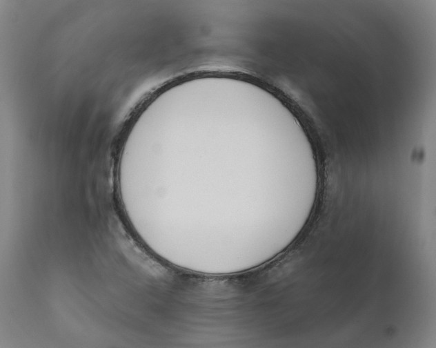 X0000110691408200907021923