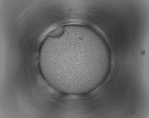 X0000110691411200907021923