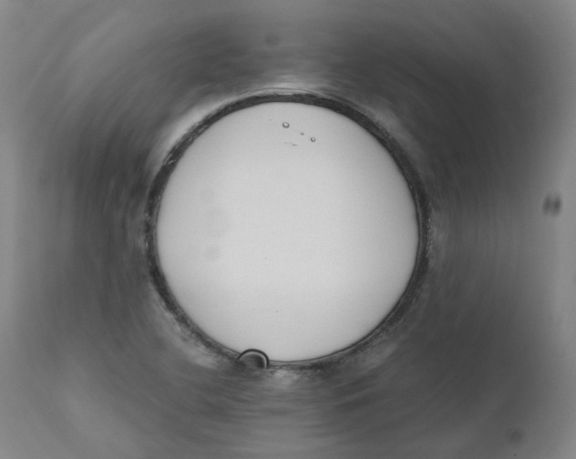 X0000110691412200907021923