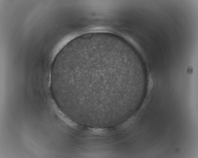 X0000110691413200907021923