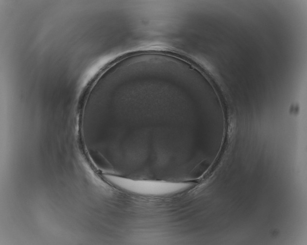 X0000110691414200907021923