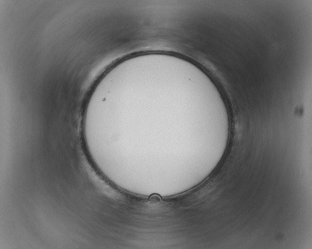 X0000110691416200907021923