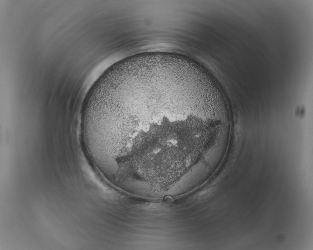 X0000110691418200907021923