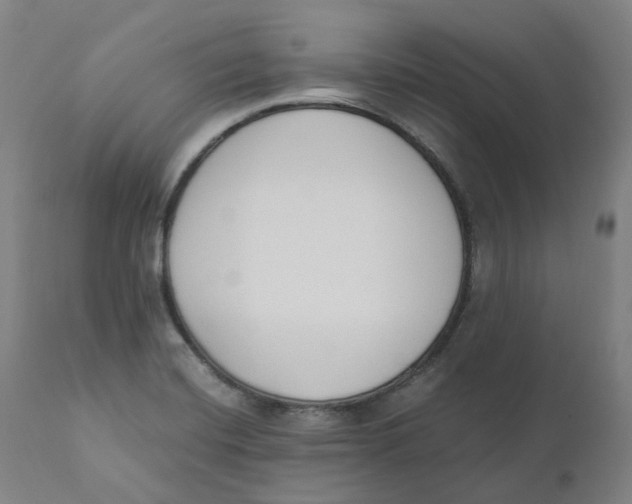 X0000110691420200907021923