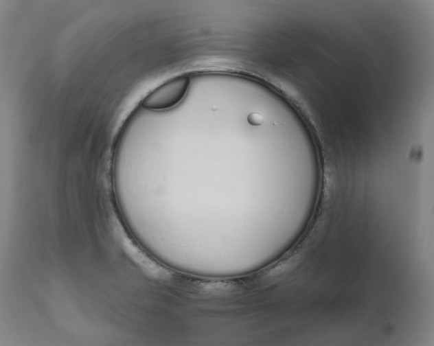 X0000110691421200907021923