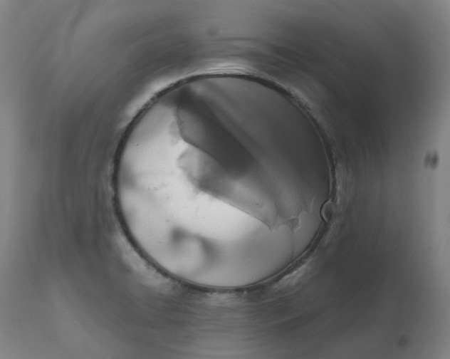 X0000110691422200907021923