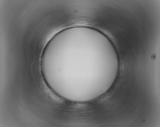 X0000110691423200907021923