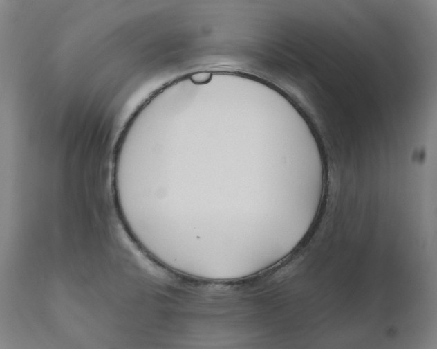 X0000110691424200907021923