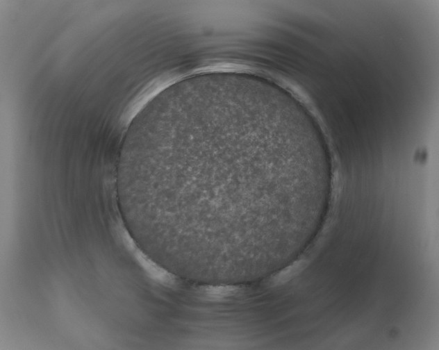 X0000110691425200907021923