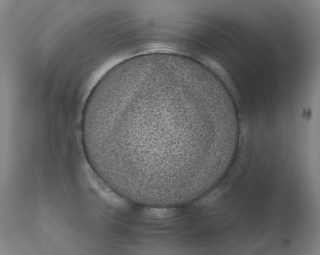 X0000110691427200907021923