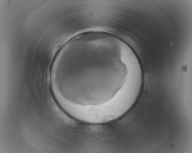 X0000110691428200907021923