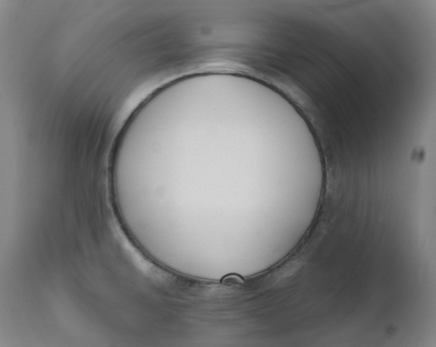 X0000110691430200907021923