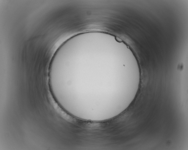 X0000110691431200907021923