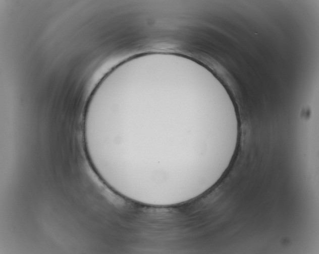 X0000110691432200907021923