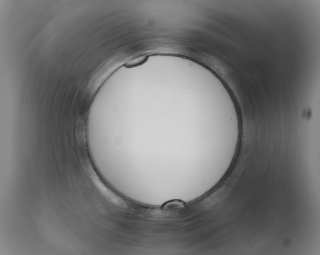 X0000110691433200907021923