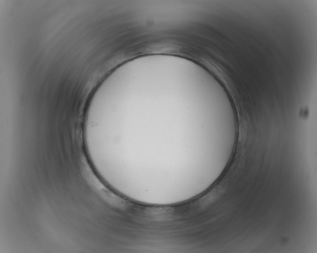 X0000110691434200907021923