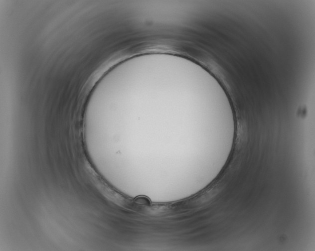 X0000110691435200907021923