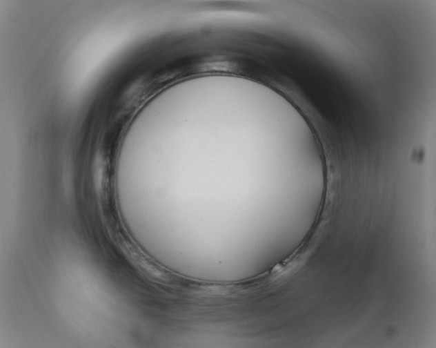 X0000110691438200907021923