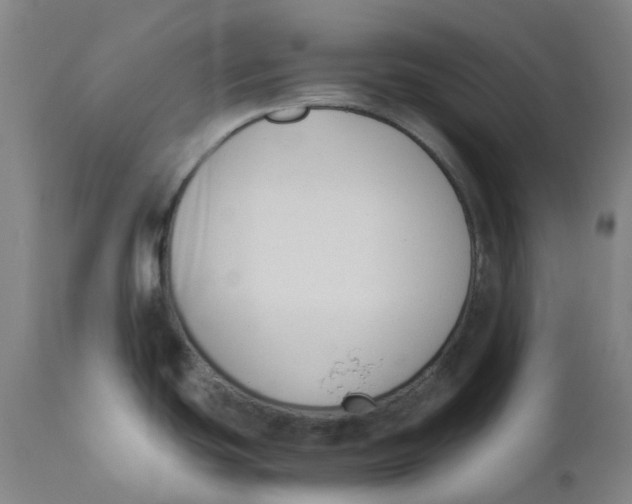 X0000110691439200907021923