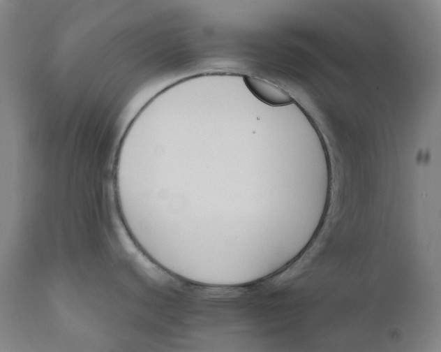 X0000110691440200907021923