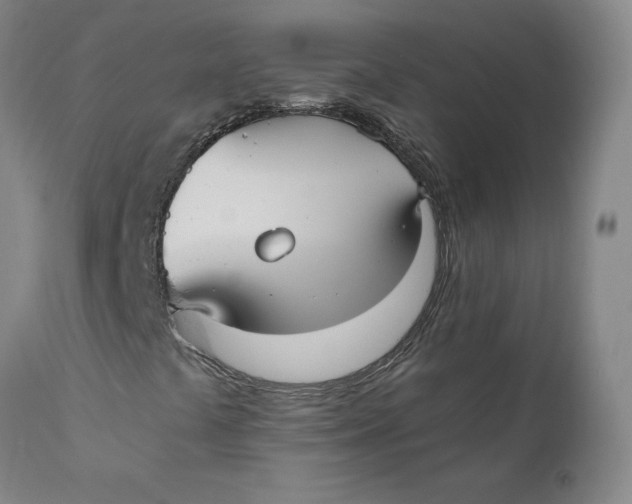 X0000110691441200907021923