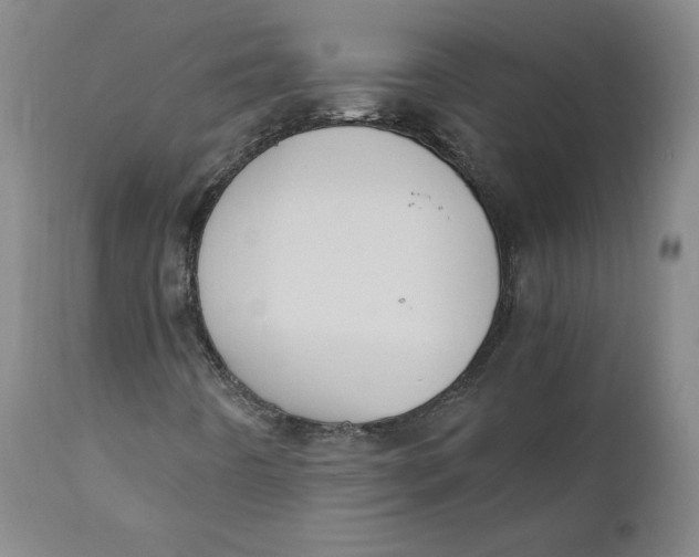 X0000110691442200907021923