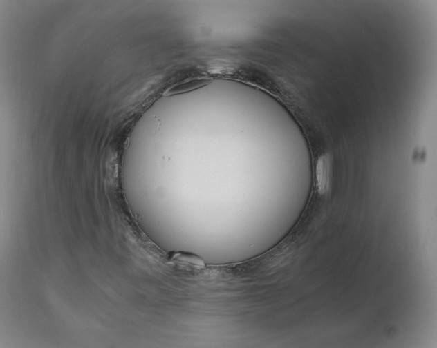 X0000110691443200907021923