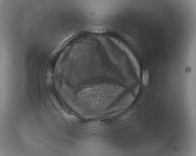 X0000110691444200907021923