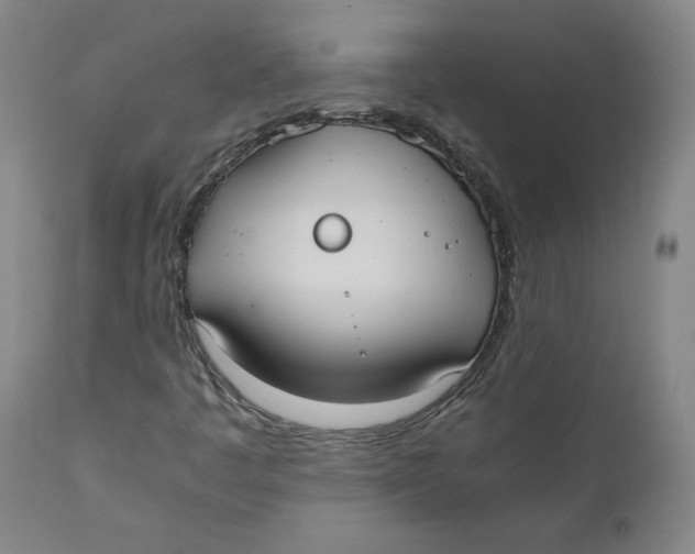 X0000110691445200907021923