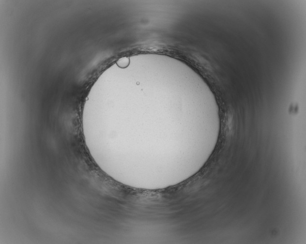 X0000110691446200907021923