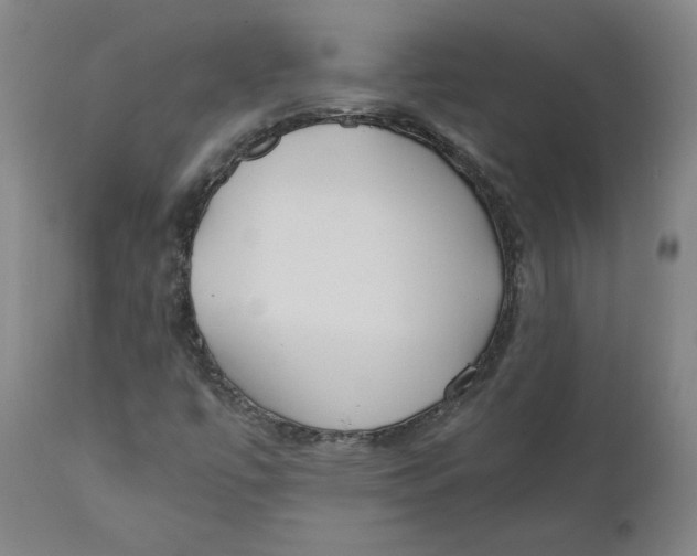 X0000110691447200907021923