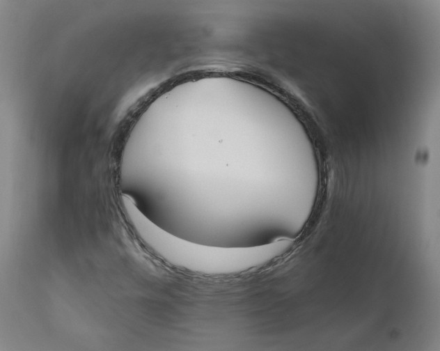 X0000110691448200907021923