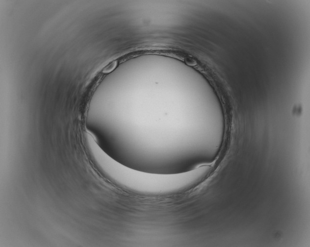 X0000110691449200907021923