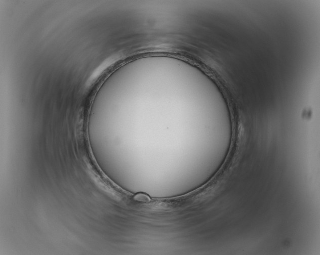 X0000110691450200907021923