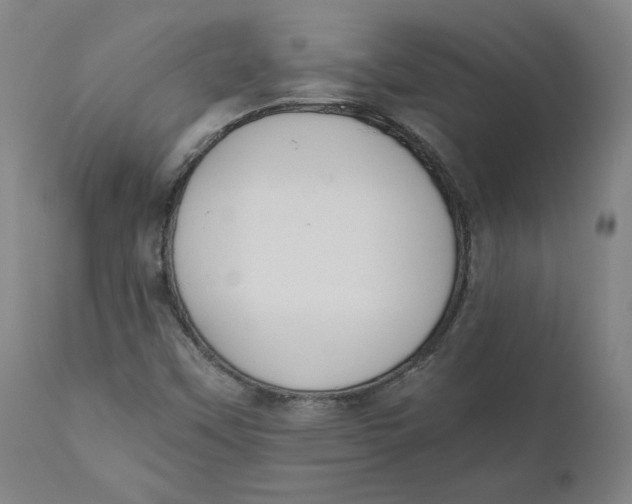 X0000110691451200907021923