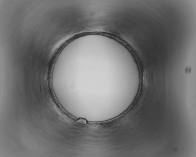 X0000110691452200907021923