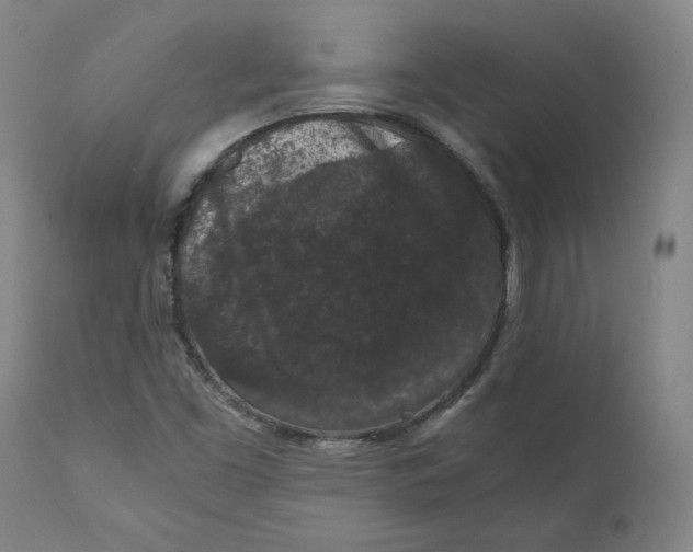 X0000110691453200907021923