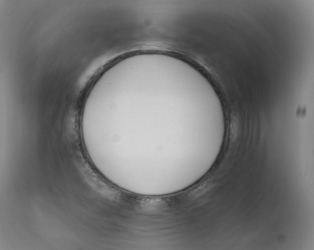 X0000110691454200907021922