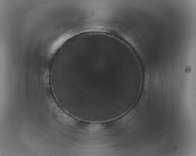 X0000110691455200907021922