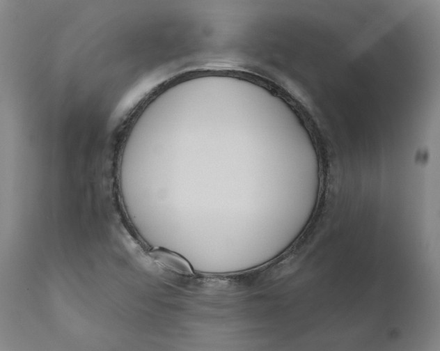 X0000110691456200907021922