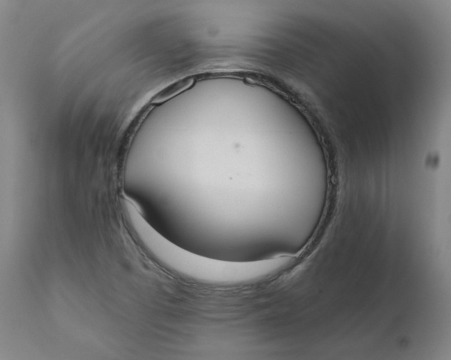 X0000110691457200907021922