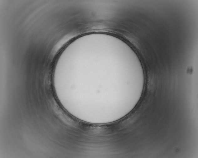 X0000110691458200907021922