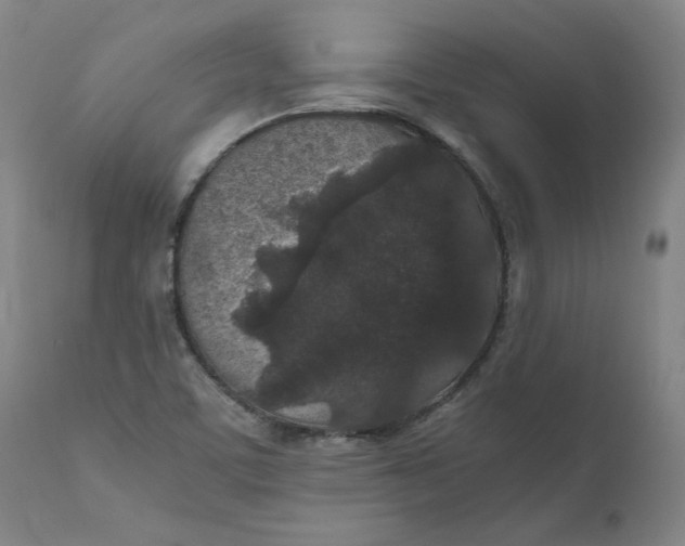 X0000110691459200907021922